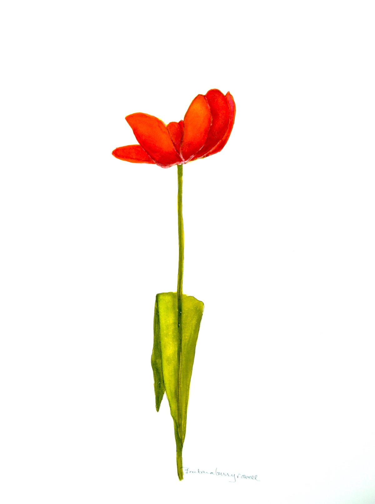 closingtulip