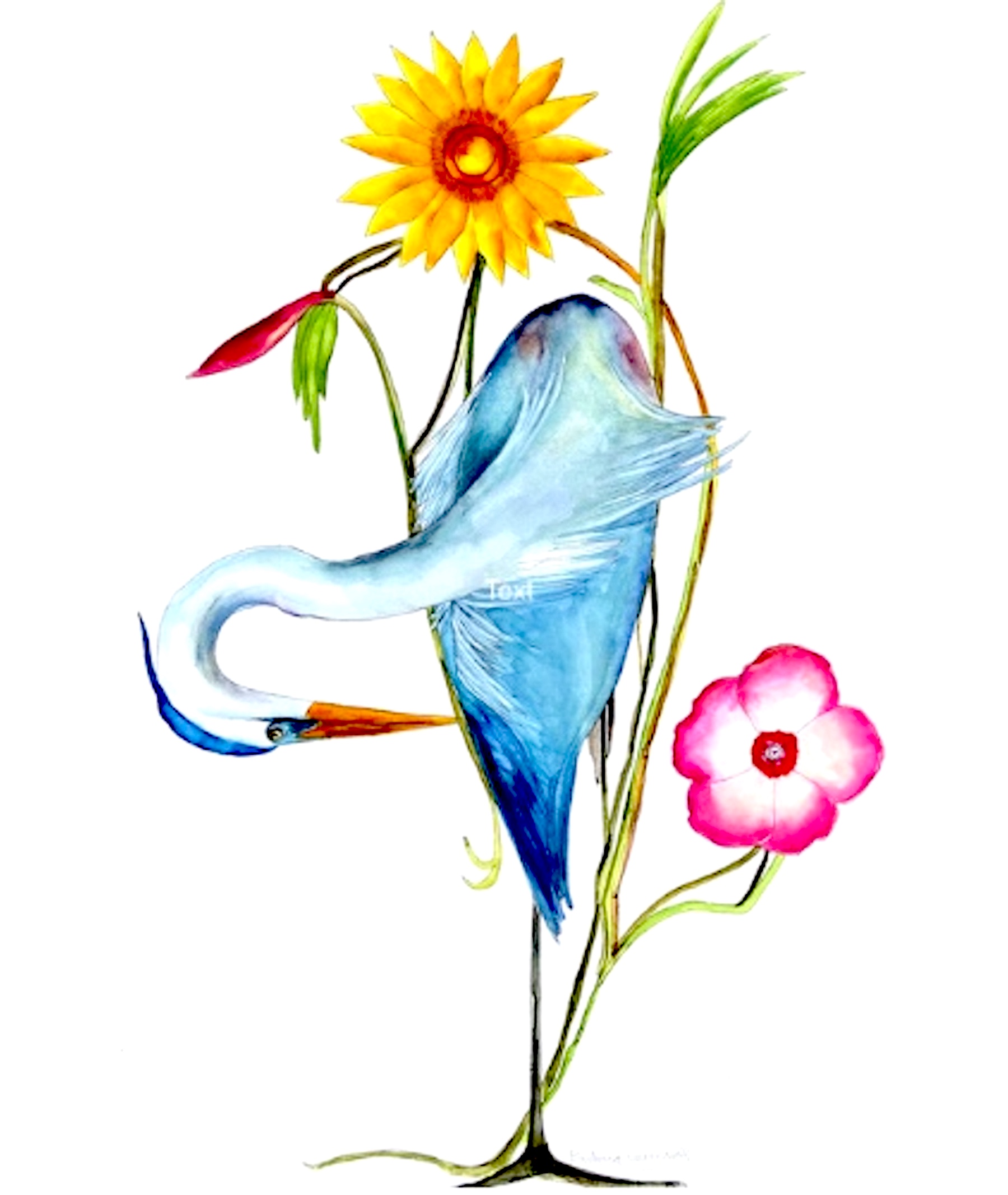 flowerandbird