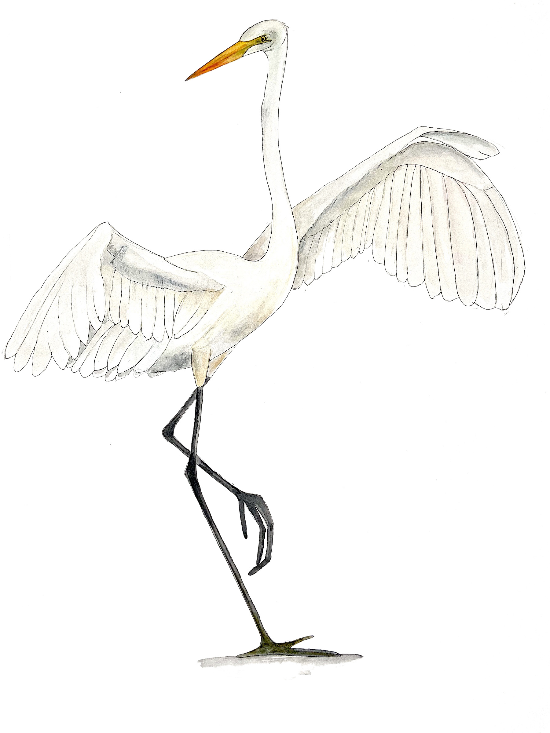 egret2